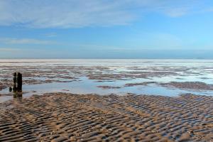 La réserve des Wadden