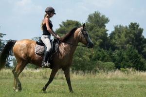 Une balade à cheval