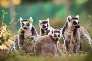 Le zoo de Labenne