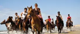 equitation