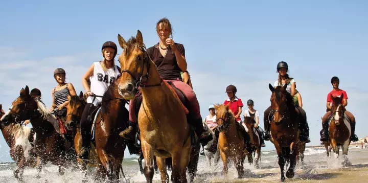 equitation